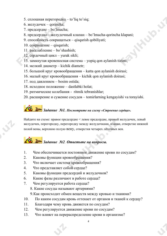ричастия могут употребляться как в полной, так и в краткой форме. краткое прилагательное или причастие используется только в качестве предиката и имеет форму именительного падежа {дверь открыта. ткань эластична). полные прилагательные и причастия образуют словосочетания с существительными, а также могут служить предикатом (мы вошли в открытую дверь. дверь открытая. мышцы состоят из эластичной мышечной ткани. мышечная ткань эластичная). прилагательные и причастия в словосочетаниях с существительными прилагательные и причастия в функции предиката ребро имеет форму изогнутой пластинки. зазубренный край теменной кости соединяется с лобной костью. на выпуклой дорсальной поверхности лопатки имеется ость. пластинка изогнута / изогнутая. края теменной кости зазубрены / зазубренные. дорсальная поверхность лопатки выпукла / выпуклая. задание №6 . вставьте пропущенные прилагательные и причастия в полной или краткой форме. латеральный угол лопатки ... (утолщённый — утолщён). место соединения крестца с v поясничным позвонком образует ... угол (закруглённый — закруглён). остистые отростки поясничных позвонков короткие, плоские, с ... концами (утолщённые …