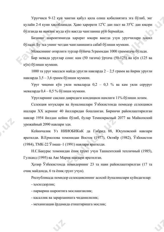 иги кучли фосфор ва калий билан таъминланган шароитдаги ота ўсимликлари билан чатиштирилса гетерозис кучли бўлиши аниқланди. уруғчилиги. уруғлик экинларни етиштириш технологияси. по​мидор бир йиллик экин сифатида етиштирилгани учун уруғлик ва то​вар маҳсулотларни етишитириш технологияси асосан бир хил. уруғлик майдонларидан камида 3 йил итузумдошлар оиласига мансуб экинлар экилмаган далаларда жойлаштирилади. бунинг учун экин йўнғучкадан кейин ёки органиқ ўғитлар берилган, бодринг ёки полиз экинларидан-кейин экилади. уруғлари кўчатсиз ва кўчат усулида етиштирилган ўсимликлар олинади. чунки меҳнат сарфи кам бўлади. гар уруғ етарли бўлса уруғлик ўсимликлар кўчатсиз усулда агар уруғ кам, камёб навлар ва қимматли навларнинг уруғи кўчат усулида етиштирилади. уруғлик пайкалларида технологик тадбирлар йиғиндиси худди товар маҳсулотлар етиштириладиган далалардагидек, фақат ўз вақтида ва сифатли бажарилиши лозим. помидор меваларининг етилиш вақти одатда узоқ вақт давом этади. шунинг учун уларнинг тезроқ етилиши учун биологик актив моддалар ишлатилади. шундай моддалардан бири гидрелдир. бу вақтда мевалар қанча кам етилган бўлса препарат таъсири шунча кучли бўлади. лекин мевалар …