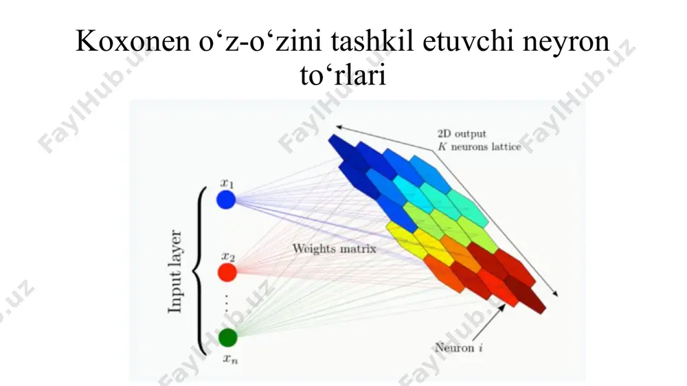 koxonen o‘z-o‘zini tashkil etuvchi neyron to‘rlari - Page 5