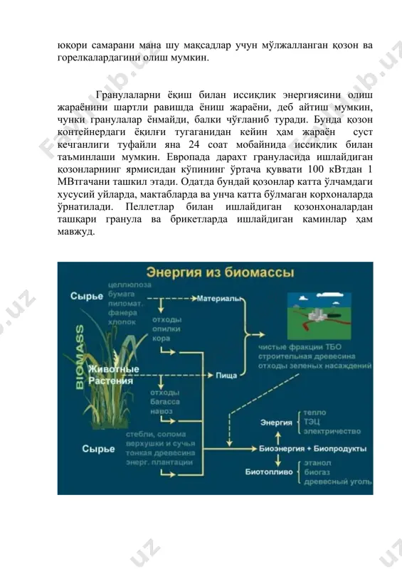 катта ўлчамдаги хусусий уйларда, мактабларда ва унча катта бўлмаган корхоналарда ўрнатилади. пеллетлар билан ишлайдиган қозонхоналардан ташқари гранула ва брикетларда ишлайдиган каминлар ҳам мавжуд. бундай каминлар қозон сифатида эмас, балки ҳаво иситиш мосламаси сифатида ишлатилади, шунинг учун уларга трубалардан иборат тизим талаб этилмайди. кўпинча улар, одатдаги каминларга ўхшаб, қўшимча иситиш воситаси сифатида ишлатилади. бугунги кунда мдҳ давлатларининг бозорларида суюқ ёнилғида ишлайдиган қозонларни қайта жиҳозлаб, гранула билан ишлашда фойдаланиладиган горелкалар, катта қувватдаги қозонхона жиҳозлари, биоёқилғида ишлайдиган саноат буғ генераторлари, хусусий уйлар учун кам қувватли автоматлаштирилган қозонлар, ёғилғи гранулаларини ёқиш учун каминлар мавжуд. жиҳозларнинг кўп қисми хориждан келтирилади. биомасса, биогаз тушунчалари ва биомассадан фойдаланиб биогаз ҳосил қилиш усуллари, техник восита ва жараёнлари, биогаз қурилмалари ишлаш тамойиллари, уларнинг замонавий конструкциялари, биогаз ҳосилбўлиш босқичлари, ундан электр энергияси ва иссиқлик манбаи сифатида фойдаланиш шароитлари ҳамда имкониятлари тўғрисидаги маълумотларни табиий фанлар таълимида ўқитишда фанлар интеграциясидан фойдаланиш катта самара беради. биогаз бу – биомассанинг водородли ёки метанли бижғишидир. …