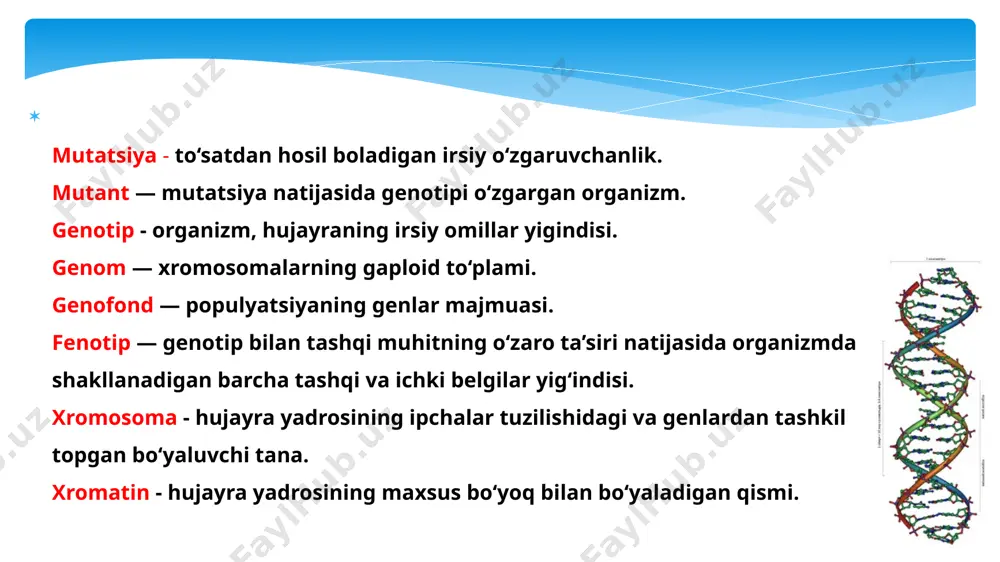 yilda nashr etilgan “0‘simlik duragaylari ustida tajribalar” nomli asarida bayon etilgan edi. shuning uchun g.mendel o‘rinli ravishda genetikaning asoschisi bolib hisoblanadi. genetikaning fan sifatida rivojlanishi uch bosqichdan iborat. genetika rivojlanishining birinchi bosqichida irsiyat va o‘zgaruvchanlik haqidagi fanga 1906-yilda angliyalik olim v.betson genetika deb nom berdi. genetikaning keyingi taraqqiyotida gollandiyalik olim gugo de friz taklif etgan mutatsiya nazariyasi (1901-1903 y), daniyalik genetik olim v.iogannsen tomonidan loviya o‘simligida belgilarning irsiylanishi bo‘yicha olib borilgan tadqiqotlar muhim ahamiyatga ega boldi. 1909-yilda v.iogannsen tomonidan genetika faniga gen, genotip, fenotip kabi tushunchalar kiritildi. genetika fani rivojlanishining birinchi o‘n yilligida t.boveri, u.setton va e.vilson tomonidan irsiyatning xromosoma nazariyasi asoslab berildi. hujayra bolinishi (mitoz) va jinsiy hujayralaming hosil bolinishi (meyoz) jarayonidagi xromosomalar tarqalishi bilan irsiy belgi-xossalar tarqalishi o‘rtasida malum bogliqlik borligi aniqlandi. genetika fani rivojlanishining ikkinchi bosqichi irsiyatning moddiy asoslarini o ‘rganish bilan bog‘liqdir. bu vaqtda irsiyat hodisalarini o‘rganishda sitologik metod qollanila boshlandi, shuning natijasida sitogenetik yo‘nalish tarkib …