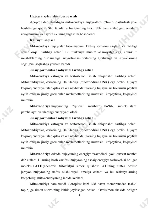 tartibga solish mitoxondriya estrogen va testosteron ishlab chiqarishni tartibga soladi. mitoxondriyalar, o'zlarining dnklariga (mitoxondrial dnk) ega bo'lib, hujayra ko'proq energiya talab qilsa va o'z navbatida ularning hujayralari bo'linishi paytida aytib o'tilgan jinsiy gormonlar ma'lumotlarining nusxasini ko'paytirsa, ko'payishi mumkin. mitoxondriya hujayraning “quvvat manbai” boʻlib, molekulalarni parchalaydi va ulardagi energiyani oladi. jinsiy gormonlar faoliyatini tartibga solish mitoxondriya estrogen va testosteron ishlab chiqarishni tartibga soladi. mitoxondriyalar, o'zlarining dnklariga (mitoxondrial dnk) ega bo'lib, hujayra ko'proq energiya talab qilsa va o'z navbatida ularning hujayralari bo'linishi paytida aytib o'tilgan jinsiy gormonlar ma'lumotlarining nusxasini ko'paytirsa, ko'payishi mumkin. mitoxondriya odatda hujayraning energiya “zavodlari” yoki quvvat manbai deb ataladi. ularning bosh vazifasi hujayraning asosiy energiya tashuvchisi boʻlgan molekula atf (adenozin trifosfat)ni sintez qilishdir. atfning sintez boʻlish jarayoni hujayraning nafas olishi orqali amalga oshadi va bu reaksiyalarning koʻpchiligi mitoxondriyaning ichida kechadi. mitoxondriya ham xuddi xloroplast kabi ikki qavat membranadan tashkil topib, gelsimon sitozolning ichida joylashgan boʻladi. ovalsimon shaklda boʻlgan mitoxondriyaning …
