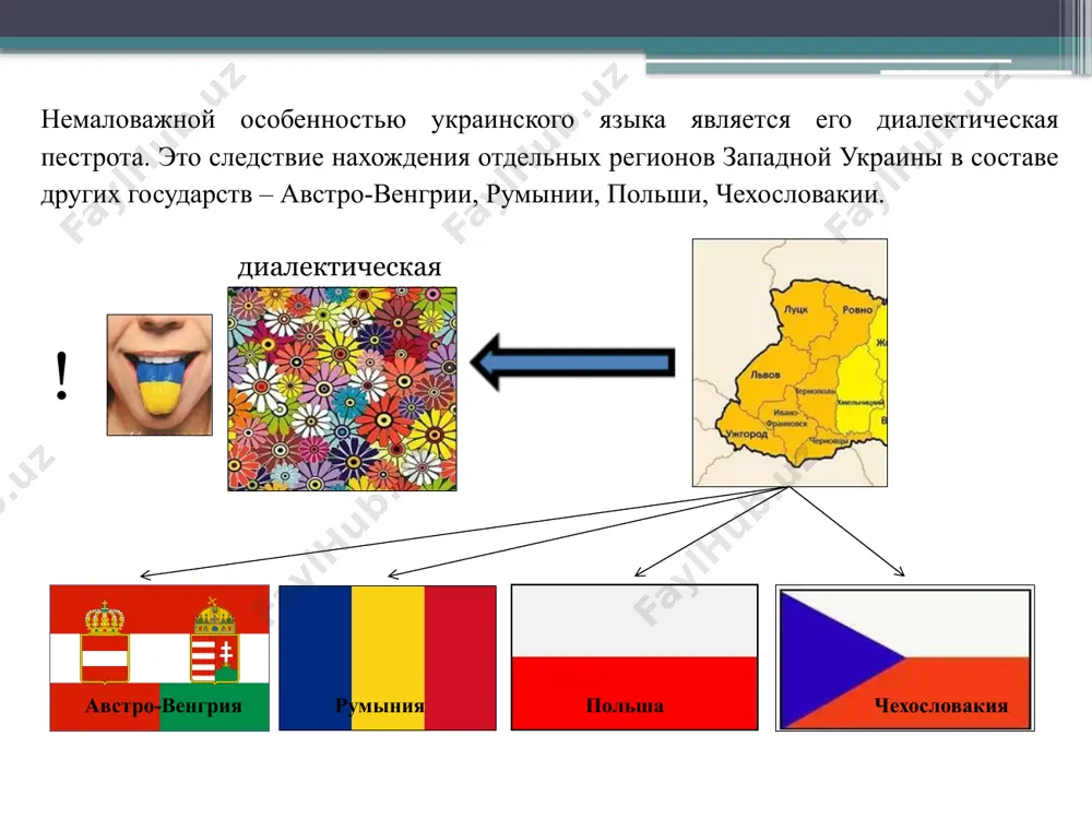 (решетка) г - взрывной звук, распространенный в литературном языке губы, голос, голова, двигать согласные приведите по 5 своих примеров. выполните фонетическую запись. 10 украинский язык русский язык нет оглушения конечных согласных хліб [хл´іб], дуб [дуб]), книжка [книжка]) оглушение конечных согласных хлеб [хлеп], дуб [дуп]), книжка [книшка]) украинский язык русский язык сдвоенные согласные читаются долго, в два-два с половиной раза дольше, чем обычный вариант приладдя[д::’], весілля[л::’], волосся[с::’], стаття[т::’] на месте сочетаний согласных с j (йот) возникли долгие мягкие согласные колосся[с::’], смiття[т::’] сдвоенные согласные читаются долго жжёт [ж:], жужжание[ж:] согласные приведите по 5 своих примеров на оба положения. выполните фонетическую запись. 11 украинский язык русский язык наличие протетических согласных перед о, у вухо, гострий отсутствие протетических согласных перед о, у ухо, острый украинский язык русский язык ф – [ф] встречается в заимствованных словах, произносится так же, как и в русском факт, фенікс, футболка ф - [хв] характерно для исконно украинских слов, следует …