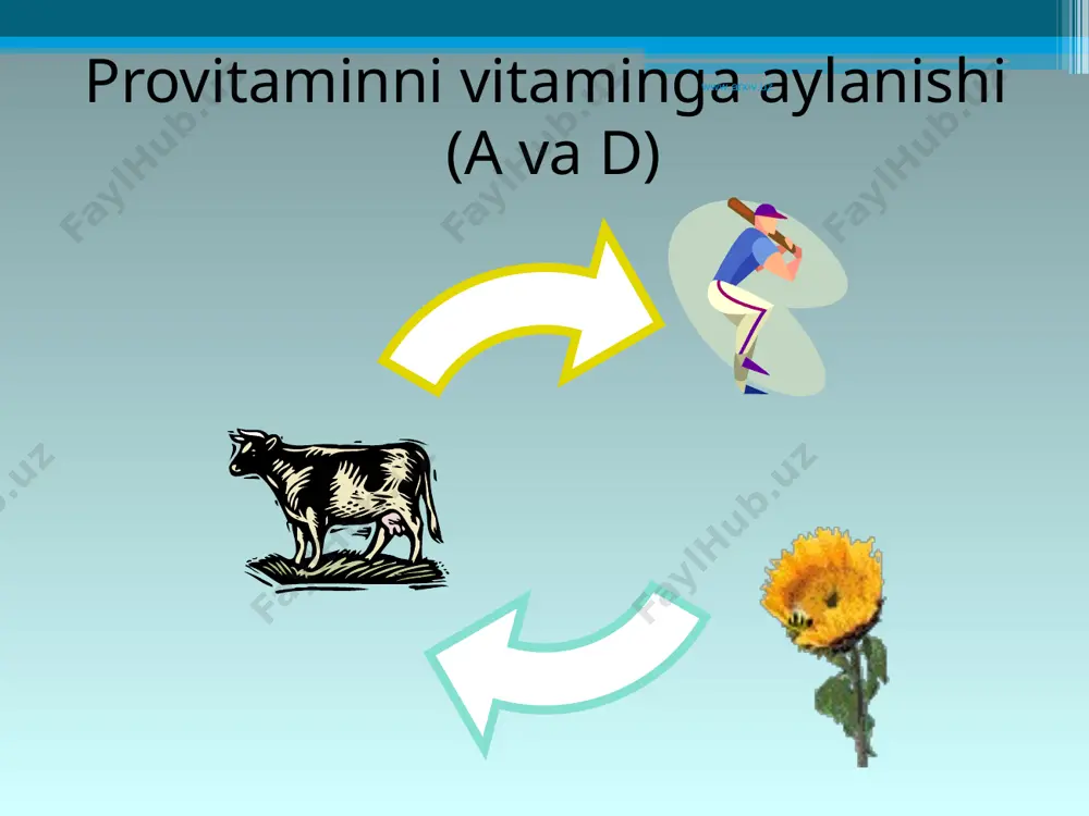 vitaminlar. suvda va yog`da eriydigan vitaminlar - Page 5