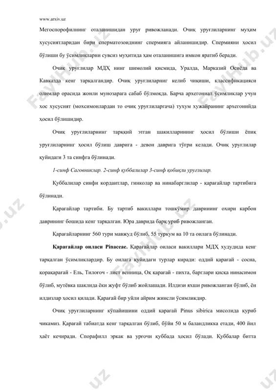 бир ядроли, ташқи томондан интина ва экзина қавати билан ўралган бўлиб, ёнида 2 та тўрсимон ҳаво пуфакчасини ҳосил қилади. микроспоранинг унишидан эркак гаметофит - чанг ҳосил бўлади. микроспора иккига бўлиниб, ундан иккита хужайра ҳосил бўлади. (антеридийли ва вегетатив). антеридийли хужайра сперма ҳосил қилишга хизмат қилса, вегетатив хужайра спермани тухум хужайрага етказиб бериишга хизмат қилади. урғочи қуббалар ёш новданинг учида жойлашади. қуббанинг асосий ўқида тангачалар жойлашган бўлиб, унда иккитадан уруғкуртак ҳосил бўлади. уруғкуртак нуцелус ва интегументдан тузилган бўлади. нуцелус тухумсимон бўлиб, устидан интегумент ўраб туради. нуцелуснинг қубба ўқига қараган қисмида чанг кириши учун йўл - микропилл жойлашган бўлади. нуцелус марказида дастлаб битта хужайра жойлашиб, унниг бўлинишидан 4 та мегоспора ҳосил бўлса, ундан 3 таси халак бўлади ёки ундан эндосперм ҳосил бўлади. эркак қуббадаги чанг уруғкутракка тушиб уна бошлайди. дастлаб чангнинг экзина қавати ёрилиб вегетатив хужайра чанг найини ҳосил қилади. иккинчи хужайра антеридиаль хужайра 2 га бўлиниб, спермагенли хужайрани ҳосил қилади. спермагенли …