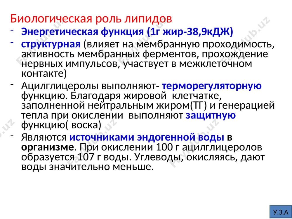 сификация гликолипидов у.з.а строение сфингогликолипидов у.з.а фосфо- и гликолипиды фосфолипиды не являются энергетическим материалом. фосфолипиды участвуют в построение клеточных мембран и в выполнении функций, активизации мембранных и лизосомальных ферментов, передаче нервных импульсов, свертывание крови, иммунологических реакциях, пролиферации клеток, регенерации тканей, переносе электронов в дыхательной цепи. они играют важную роль в формировании липопротеидных комплексов. у.з.а фосфолипиды с помощью липидпереносящих белков цитоплазмы переносятся к мембранам и встраиваются. липотропные факторы (вещества, способствующие синтезу фл и препятствующие синтезу таг, и способные предотращать жировую инфильтрацию печени: холин, цитидинтрифосфат, серин, инозит, пиридоксальфосфат, фолиевая кислота, метионин у.з.а некоторые изопреноиды играют важную роль в метаболизме, но не могут синтезироваться в организме человека. к этой группе относятся витамины a, d, e и к. из-за структурного и функционального сродства со стероидными гормонами витамин d относят к гормонам у.з.а химическая структура липидов плазмы. у.з.а жирные кислоты жирными кислотами (жк) - называются карбоновые кислоты, которые образуются при гидролизе омыляемых липидов. в основном …