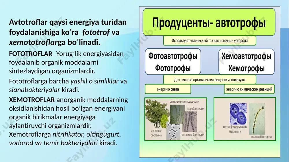 san 3 tipga (usulga) ajratish mumkin. 1. passiv oziqlanish. ushbu turdagi oziqlanish o’troq yoki kam harakat hayot kechiruvchi hayvonlar uchun xos. u past taraqqiy etgan suv hayvonlari (g’ovaktanlilar, kovakichlilar, o’troq yashovchi qisqichbaqasimonlar, ayrim chuvalchanglar, ninatanlilar, lansetnik va boshqalar) orasida tarqalgan. bunday hayvonlar tanasida moddalar almashinuvi ancha sust boradi va ular oziqani kam qabul qiladi hamda tashqariga ajratish ham ancha past darajadadir. passiv oziqlanish shundan iboratki, asosan, tabiiy va sun’iy ravishda hosil qilingan suv oqimi bilan keluvchi oziqa zarralarini ushlab qolishdan iborat. hayvon atrofida sun’iy hosil qilingan suv harakati shu hayvonning paypaslagichlari, epiteliy hujayralari yuzasidagi hilpillovchi kiprikchalar va boshqa bir qator moslanmalarning harakati tufayli sodir qilinadi. ba’zi hayvonlarda o’zlarining juda mayda (kattaligi, 0,004 mikron) teshikli turlari orqali hatto kolloid holdagi moddalarni ham o’tkazadi. 2. parazitlik bilan oziqlanish. bir ko’rinishda passiv oziqlanish usuliga o’xshash, lekin avval oziq topish uchun parazit xo’jayin tanasiga kirib olishi yoki uning tashqi organlariga joylashib olishi kerak. xo’jayin …