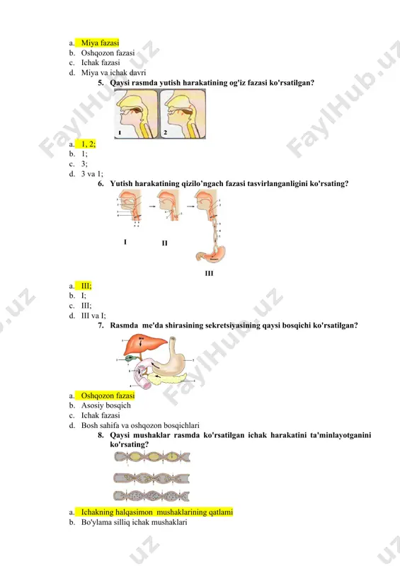 mushak qatlamlari - Page 2
