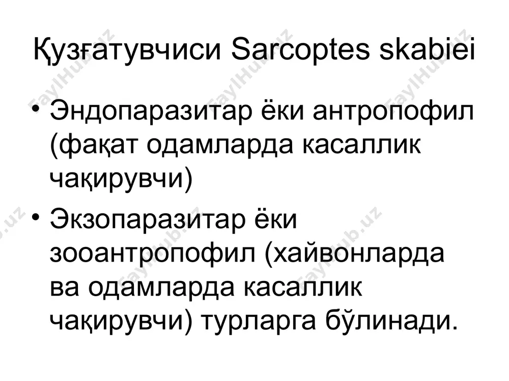 матизация невротик реакциялар йирингли асоратланган қўтир иметигиноз асоратланган қўтир экзематоз асоратланган қўтир асоратланган қўтир даволаш: паразитга қарши препаратлар. 33% ли олтингугурт малҳами (10%-20% ли болаларга). 20% ли бензилбензоат м п демьянович усули (60% тиосульфат натрий ва 6%ли водород хлорид кислотаси). спрегаль – аэрозол. 10-25% бензилбензоат малхами кротамион 10% малхами ивермектин 200 мг таблетка кўринишида жами 2 маротаба ичилади 2. гипосенсибилизацияловчи препаратлар. антигистаминлар. анилин бўёқлари ( брилиант яшили, метилин кўки, фукорцин). олдини олиш: контантда бўлганларни текшириш. дезинфекцион ишларни амалга ошириш. демодекоз каналари демодекоз каналари битлаш (педикулёз) экзопаразитлар чақиши натижасида дерматит келтириб чиқаради. турлари қов сохаси бит касаллиги баданнинг бит касаллиги бош бит касаллиги одамлар учун битларнинг вирусларни, риккетсияларни ва бактерияларни ташибюрувчанлиги ва ўтказувчанлиги хавфли хисобланади. битланинг сўлагида хам каналарникидай токсинлар мавжуд бўлиб, қичимага ва дерматитга сабабчи бўлади. педикулёз битларнинг кўриниши битларнинг кўриниши битларнинг кўриниши битларнинг кўриниши битларнинг кўриниши битларнинг кўриниши битлар ва сиркаларининг кўриниши фтириаз фтириаз фтириаз: папулезная крапивница кийим бити …