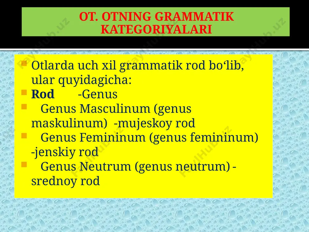 caput costae gen.sing.: capitis costae dat.sing.: capiti costae acc.sing.: capitem costae abl.sing.: capite costae 12 ot. otning grammatik kategoriyasi. moslashmagan aniqlovchi e’tiboringiz uchun rahmat!!! audio1.wav image2.jpeg /docprops/thumbnail.jpeg