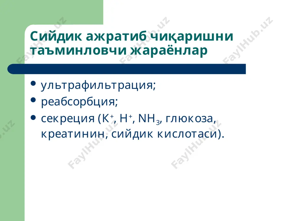 буйраклар патофизиологияси - Page 3