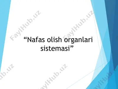 nafas olish organlari sistemasi — PPT