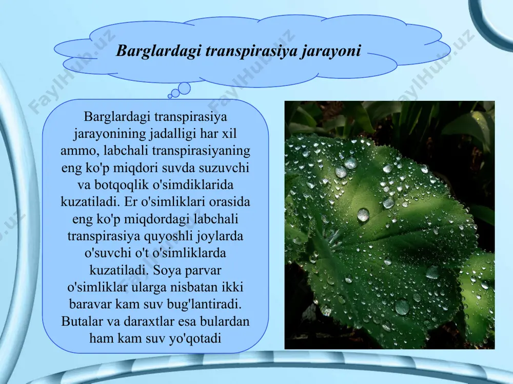 o\\'simliklarda suvning muvozanati - Page 5
