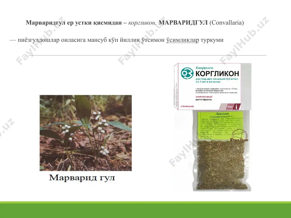 dorda yuboriladi, keyin quvvatlovchi miqdor qo'llaniladi. quvvatlovchi miqdor eliminatsiya kvotasi orqali aniqlanadi. yurak glikozidlarining kardiotonik ta'siri bir sutka ichida 50% kamayishi (glikozidlar organizmda o'zgarishi, zararsizlanishi, chiqib ketishi tufayli kamayadi) eliminatsiya kvotasi deb ataladi. o'tkir yurak etishmovchiligida tez, o'rta muddat ta'sir etuvchi strofantin, korglikon, konvallyatoksin, digoksinlar qo'llaniladi, to'liq shifobaxsh miqdor bir marta yuboriladi, surunkali yurak etishmovchiligida glikozidlarning asta-sekin qondiruvchi miqdori yuboriladi. qo'llanilishi strofantin 0,025%, 0,05%-1 ml amp. korglikon 0,06% - 1 ml amp. yosh bolalar organizmi glikozidlarga nisbatan kamroq sezuvchan bo'ladi, shuning uchun ular tana vaznining har bir kilogramiga kattalarga to'g'ri keladigan yoki undan oshiqroq miqdorda tayinlanadi. yosh bolalarning glikozidlarga kamroq sezuvchanligi ularda hujayralardan tashqari suyuklik ko'proq bo'lishi bilan tushuntirishligi mumkin. yuqorida keltirilganidek, 3 yoshgacha bo'lgan bolalarda yurak glikozidlari shifobaxsh miqdorda bradikardiya paydo qilmaydi, chunki ularda vagus nervining tonusi yaxshi rivojlanmagan bo'ladi. bradikardiya boshlanishi zaharlanish boshlanganidan dalolat beradi. so'nggi yillarda kardiologiya amaliyotida kimyoviy jihatdan yurak glikozidlaridan farq qiladigan kardiotonik moddalar amrinon, …