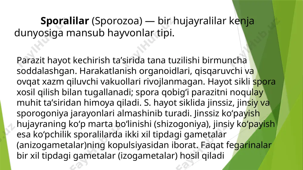 tibbiy parazitologiya mustaqil ishi - Page 5