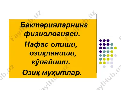 bakteriyalar fiziologiyasi — PPT