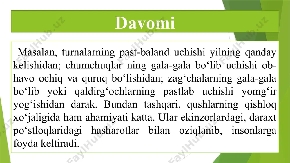 qushlar dunyosi - Page 3