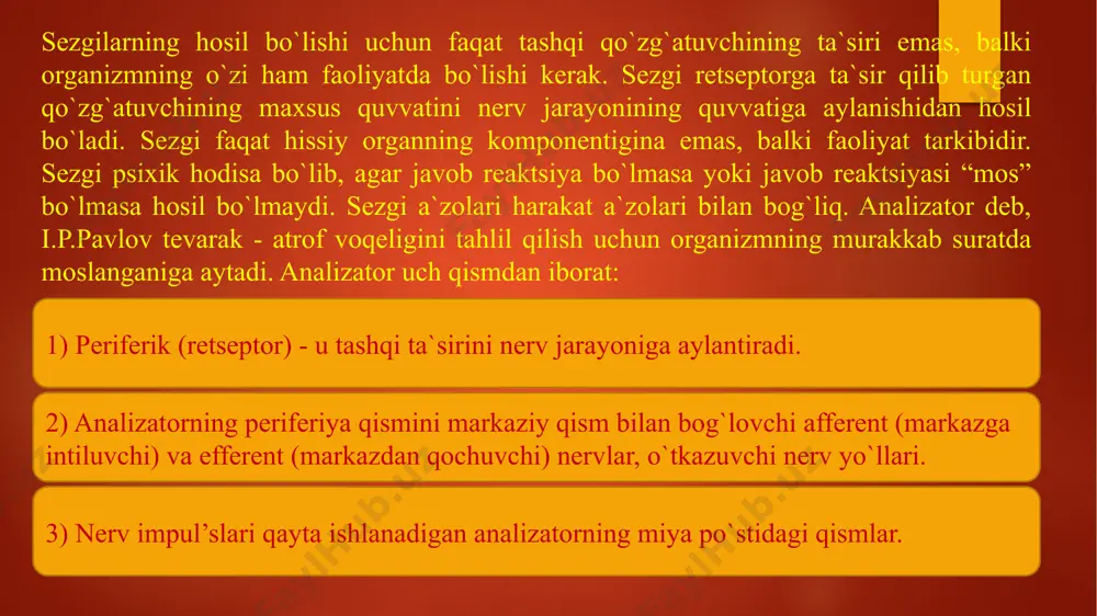 diqqat, sezgi, idrok - Page 5