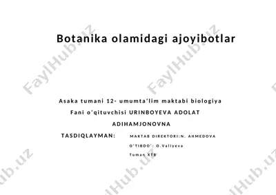 ajdar daraxti — DOCX