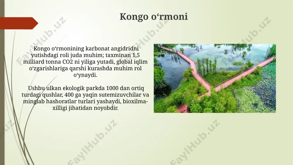 dunyodagi eng katta eco bogʻlar - Page 5