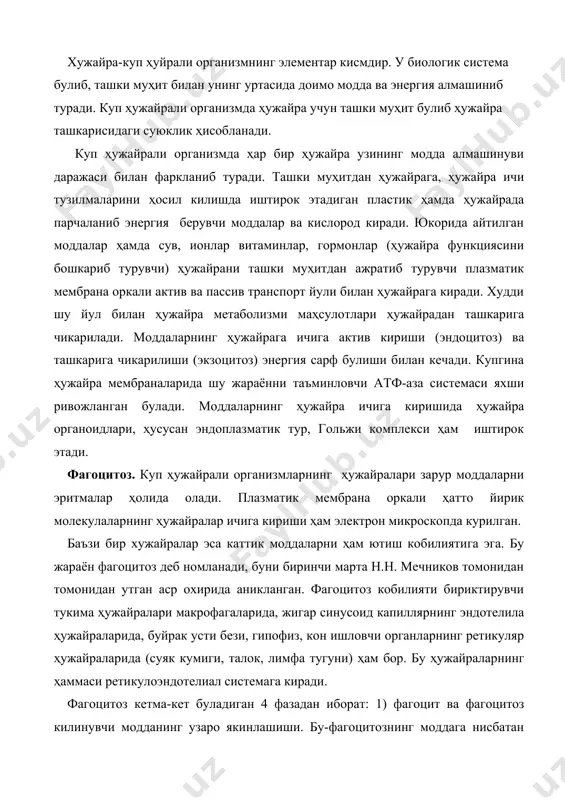 эндотелиал системага киради. фагоцитоз кетма-кет буладиган 4 фазадан иборат: 1) фагоцит ва фагоцитоз килинувчи модданинг узаро якинлашиши. бу-фагоцитознинг моддага нисбатан хемотаксиси билан белгаланади: 2) фагоцит ва фацитоз килинувчи модданинг жуда ҳам якинлашиши (атракция даври): 3) модданинг ютилиши: 4) ҳазм килиниши (30-расм). моддаларнинг фагоцитоз килиниши фагоцит плазматик мембранасининг инвагинацияси оркали руй беради. ютилган моддалар гидролитик ферментларга бой лизосомаларда парчаланади. 30-расм. а-фагоцитоз: в-пиноцитоз: с,д-ҳужайраларда кузатилиши. пиноцитоз. қаттик моддаларни фагоцитоз килишдан ташкари ҳужайра суюк моддаларни ҳам ютиши мумкин. бу жараённи биринчи марта льфис кузатган (30-расм). электрон микроскопда охирги йилларда олиб борилган текширишлар пиноцитоз жараёнида ҳужайра плазматик мембранасининг аҳамияти катталигини курсатди. суюклик томчиси ҳужайра мембранасининг бир кисми билан уралиб, цитоплазмага утади ва у ерда ҳужайра кобигидан ажралади. шундай килиб, пиноцитоз пуфакча девори плазматик мембранада ташкил топган. пиноцитоз механизми куйидаги фазаларни уз ичига олади: 1) ташки цитоплазматик мембрана инвагинациясининг ҳосил булиши: 2) шу инвагинацияларга суюклик томчисининг ютилиши: 3) пуфакчаларнинг цитоплазмага утиши ҳамда цитоплазматик вакуолаларнинг ҳосил …