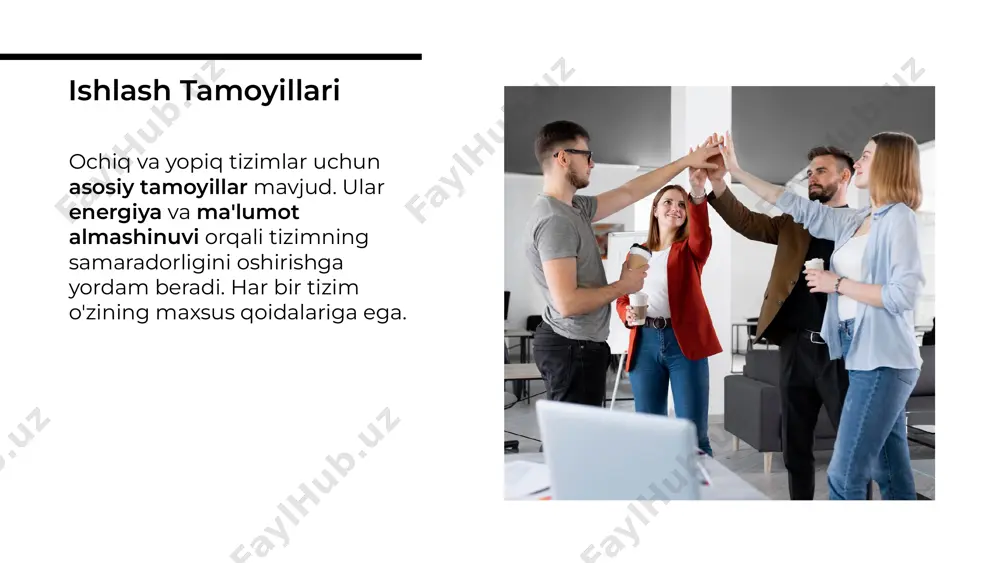 ochiq va yopiq tizimlar ishlash tamoyillari haqida - Page 5