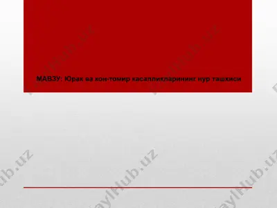 сонография (эхокардиография) — PPTX