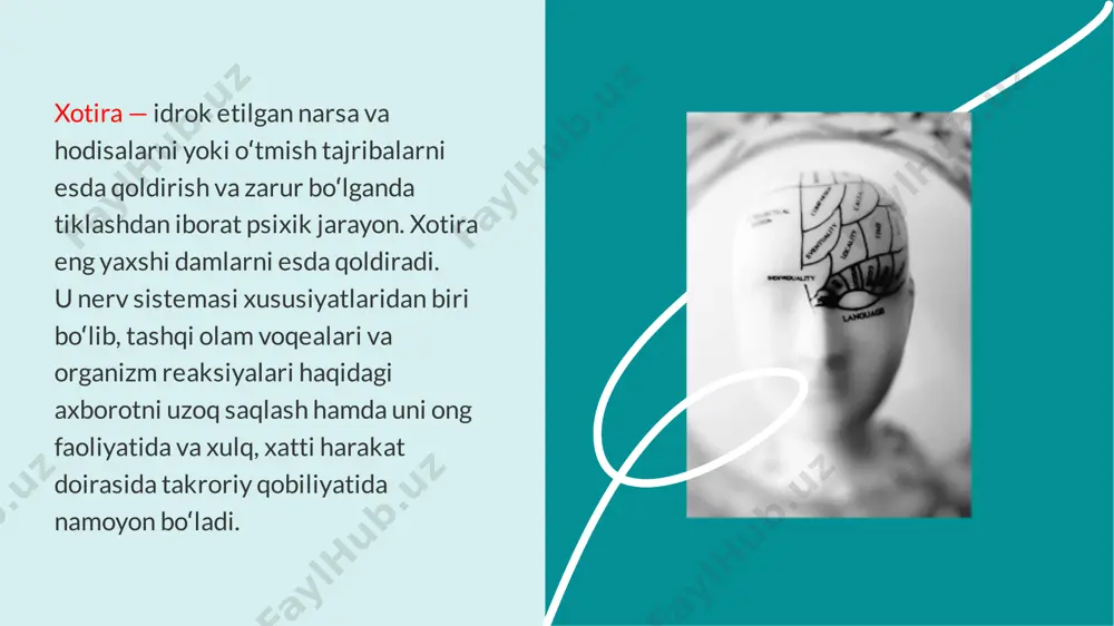 boshqa psixik hodisalar kabi xotira ham shaxsning xususiyatlari, uning ehtiyoji, qiziqishlari, odati, feʼl-atvori va shu kabilar bilan uzviy bogʻliq. inson xotirasi haqida qiziqarli faktlar 1. xotiraga oid ayrim ma’lumotlar olimlarning aqlini ham shoshirib qo‘yadi. misol uchun inson embrionning 20 haftalik paytida uning miyasida o‘zi bilan sodir bo‘layotgan voqealarni eslash qobiliyati paydo bo‘lishi aniqlangan. 2. kofein xotirani yaxshilashi haqidagi ma’lumotlarni ko‘p bor eshitgan bo‘lsangiz kerak. aslida kofein eslab qolish qobiliyatini yaxshilay olmaydi, shunchaki uning ta’sirida diqqatni bir yerga jamlash imkoniyati vaqtincha kuchayadi. 3. miya mushak emaski, uni mashq qildirish mumkin bo‘lsa! ammo olimlar xotirani mashq qildirish mumkin ekanligini ko‘p bor ta’kidlaganlar. doimiy mashg‘ulotlar inson organizmining ushbu funksiyasini kuchaytiradi. shundan kelib chiqqan holatda odamzod xotirasiga katta ta’sir ko‘rsatuvchi asosiy omillar olimlar tomonidan aniqlab berilgan. bular - to‘g‘ri taomlanish, eslab qolish mashqlari hamda dori vositalari sanaladi. 4. to‘laqonli uyqu miya faoliyatiga ta’sir qilishi haqidagi fikrni hech kim rad eta olmaydi. bundan tashqari hordiq …