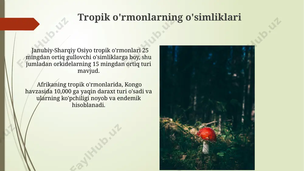 o‘simliklarning mintaqalar bo‘yicha taqsimlanishi - Page 4