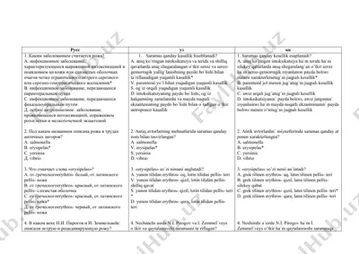 namangan shahri geografiyasi — DOCX