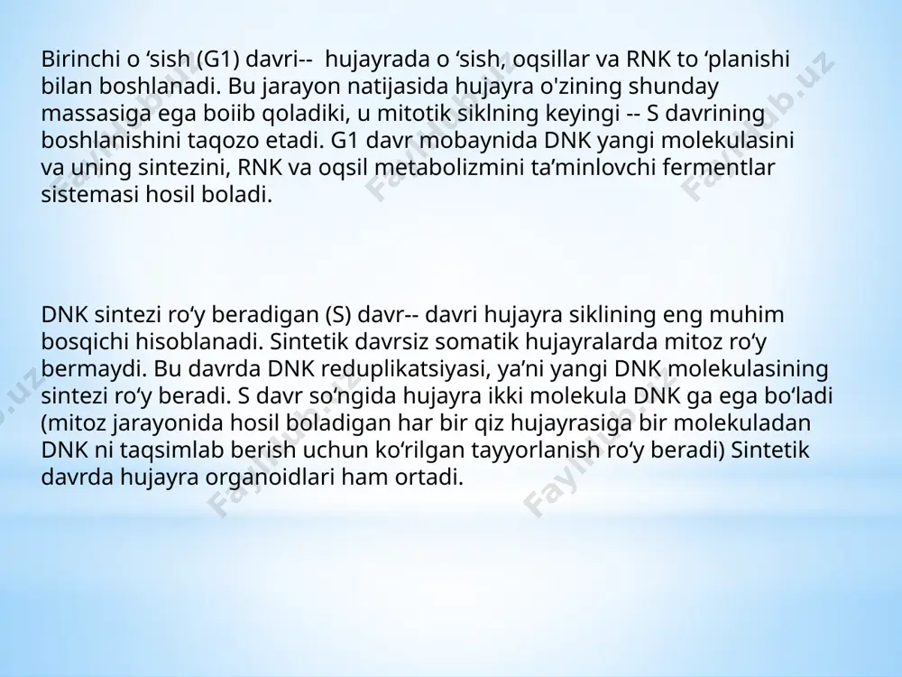 i ta’minlovchi oqsillar sintezlanadi (ayniqsa, bolinish dukini hosil qiluvchi oqsillarning sintezlanishi diqqatga sazovordir). mitoz bosqichi---somatik hujayralar mitoz yo’li bilan bo’linib ko‘payadi. mitozda hujayrada ketma-ket ro‘y beradigan 4 davr tafovut qilinadi: profaza, metafaza, anafaza, telofaza mitoz jarayonida hosil bo’lgan 2 ta qiz hujayra ona hujayraga xos bo‘lgan barcha tuzilmalarga va,ayniqsa, to’liq irsiy materialga ega bo‘ladi.mitoz natijasida genetik modda ikki qiz hujayra o‘rtasida teng bo‘linadi. profaza. 1.bu davrda interfazada unchalik ko‘z ilg‘amas genetic mahsulot - xromatindan oddiy yoruglik mikroskopida ham yaqqol ko‘rinuvchi xromosomalar shakllana boshlaydi.xromatinlar spirallashadi va buraladi – xromatin iplari yo‘g‘onlashadi, qisqaradi. shunday qilib, shakllanayotgan har bir xromosoma 2 ta xromatin ipidan iborat bo‘lib, ular bir-biri bilan sentromera orqali qo‘shiladi. 2.so‘ng xromosomalar yadro qobig'i bo‘ylab joylashib oladi. xromosomaning spirallashishi kuchayib, uning kaltalanishi ro‘y beradi.. har bir juft sentrioladan yangi mikronaychalar hosil bo‘lib, bir-biriga qarab yo‘naladi. hlaydi.xromatinlar spirallashadi va buraladi – xromatin iplari yo‘g‘onlashadi, qisqaradi. shunday qilib, shakllanayotgan har bir xromosoma 2 …