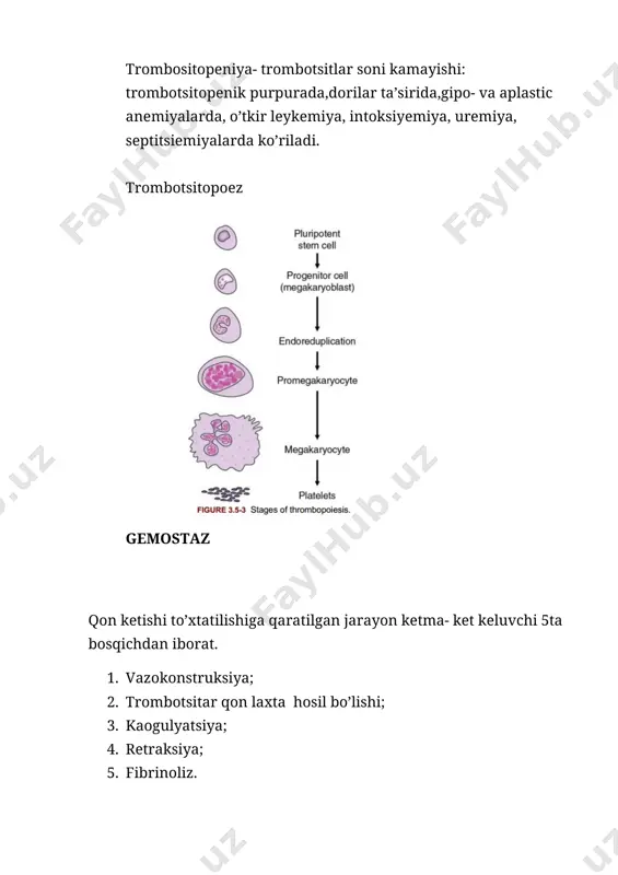 ngibirlaydi. c-oqsil sintezlanishini k vitamin aktivlaydi, jigarda sintezlanadi, qondagi aktiv holatda bo’ladigan 5 va 8faktorlarni ingibirlab qo’yadi. trombotsitlar agregatsiyasini qon tomir devorlari orqali regulyatsiya qilinishi. endotelial hujajyralar, bitiktiruvchi to’qima secretor semiz hujayralar , silliq mushaklar ishlab chiqaradigan omillar agregatsiyani boshqaradi, ya’ni trombotsitlarni tromb hosil qilmasligini oldini oladi.ular prostosiklin, no, adfaza, tpa va qon ivishiga qarshi to’qima faktorlari. prostosiklin-pgi2---araxidon kislaota unumi, arterial va venoz qon tomirlar endoteliysida sintezlanadi.txa2 ta’sirida trombotsit agregatsiyasi yuz berishini oldini oladi. uning miqdori kamayib ketishi tromb hoasil bo’lishiga sabab bo’ladi. no va ekto- adfaza trombotsitlarga ingibirlovchi ta’sir ko’rsatadi. (xuddi pgi2kabi). geparin+ antitrombin iii( ular retseptor orqali birikkan) 2,9,10,11 faktorlarni ingibirlaydi. trombin va trombomodullin birgalikda c –oqsilni aktivlaydi. to’qima omili – qon ivish sistemasining tashqi omillarini( 3,7,10) ingibirlaydi. qon ivishida vitamin va elementlarning ahamiyati vitamin k- * jigarda prokaogulyantlar hosil bo’lishida( v, vii,ix, x) va fibrinogen; * antikaogulyantlar sintezlanishida- geparin, protrombin iii, c-oqsil * gemostazda va kaogulyatsion mexanizmda …