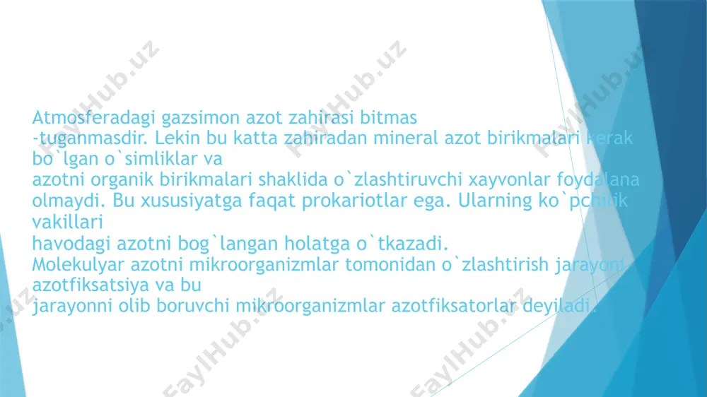hujayralar harakatini yo`qotadi va shilliq kapsula bilan qoplanadi, plazma donador bo`lib qoladi. simbiotik azotfiksirlovchi mikroorganizmlar bilan tanishish uchun mosh, no`xat, vika, soya, lupin kabi dukkakli o`simliklarning ildizini tuganaklari bilan umumiy ko`rinishi chizib olinadi. foydalanilgan adabiyot: 1. mikro biologiya amaliy mashg`ulotlari: a.h. vohobov, t.h. rasulova va boshqalar. toshkent 2009. 2. kolishko. o. i. ekalogiya mikroorganizimov pochve. labaratorniy praktikom. 1981. 3 . www.ziyonet.com image1.jpeg image2.jpeg image3.jpeg image4.jpeg image5.jpeg image6.jpeg image7.jpeg