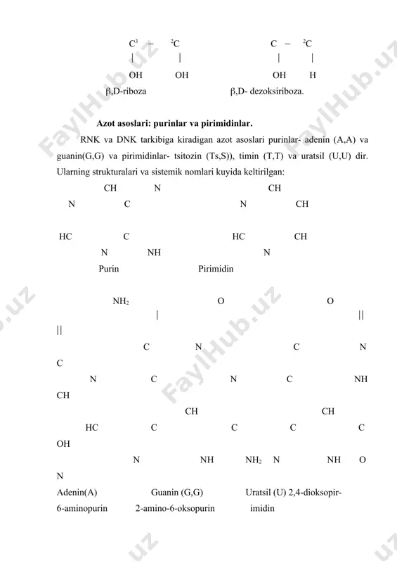 larning juda muxim spetsifikligidan (uziga xosligidan) foydalanib polinukleotid zanjirini xoxlagan joyidan kesib, oldindan belgilangan fragmentlarni olish mumkin. bunday nozik operatsiyani bajarishda nukleazalarning restriktazalar deb ataladigan, keyingi yillarda kashf etilgan guruxi juda xam kulay keldi. restriktazalar bakterial xujayralarda ularni yemiruvchi viruslar bilan kurashda juda muxim kuroldir. ular restriktsion endonukleazalar deb xam ataladilar va nukleotidlarning tegishli tartibiga nisbatan uziga xos va fakat ma‘lum boglargagina ta‘sir etadilar. xozirgi kunda turli bakterial xujayralardan bir necha yuz restriktsiyalovchi endonukleazalar topilgan. restriktazalarning bunday anik ta‘sir mexanizmi laboratoriya sharoitida dnk molekulasini ma‘lum boglar buyicha paryaalab, spetsifik fragmentlarning kichik yigindisini olish imkoniyatini beradi. kitobning xix bobida bu ajoyib fermentlar guruxi xakida kushimcha ma‘lumotlar berilgan. nukleazalar fosfodiefir bogining р-atomini chetdagi nukleotid yoki ichkaridagi nukleotid tomonidan uzilishiga karab endova ekzonukleazalar gruppasiga bulinadi. nuklein kislotalarni urganishda kullanadigan spetsifik nukleazalarning kupchiligi turli bakteriyalardan ajratib olingan. rnk ning birlamachi strukturasini aniklashda,asosan ekzonukleazalar yordamida polinukleotid zanjirining bir uchidan ayrim nukleotidlarni birin-ketin gidroliz yuli bilan …