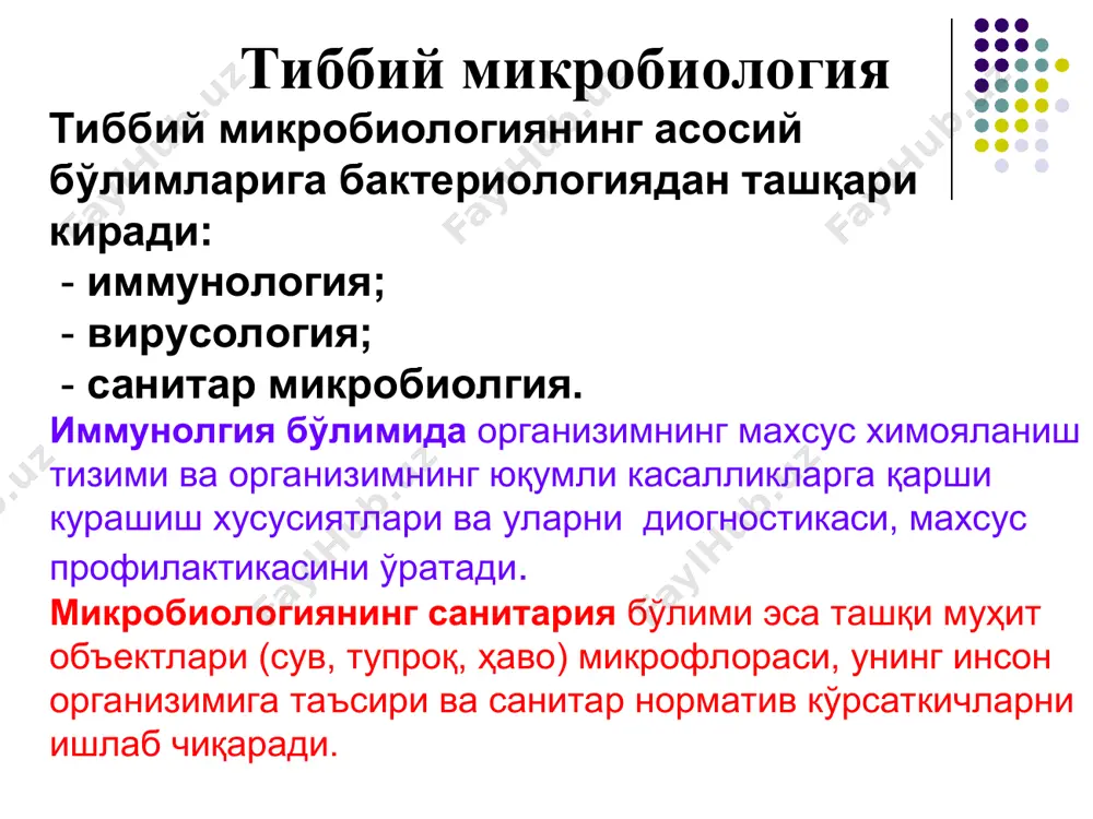 рияларнинг систематикаси ва номенклатураси бактерияларнинг систематикасидаги асосий таксономик бирлик “тур” хисобланади. тур деб- эволюцион жараёнда шакилланган ягона микроорганизимлар йиғиндиси бўлиб, бир ҳил генотипга эга бўлган ва стандарт шароитда ўхшаш морфологик, физиологик, биохимик хусусиятларни наъмоён қилувчи микроорганизимлар айтилади. тур систематикада охирги кўрсаткич хисобланмайди, тур ичида ҳам маълум белги ва хусусиятлари билан фарқланувчи микроорганизимлар вариантлари ҳам учрайди. улар номланади: 1) сероварлар (антиген хусусияти билан фарқланади) 2) хемоварлар (кимёвий моддаларга сезгирлиги билан фарқланади) 3) фаговарлар (фагларга бўлган сезгирлиги бўйича 4) ферментоварлар (ферментатив хусусияти бўйича) 5) морфовар (морфологик хусусияти бўйича) 6) бактериоциноварлар (бактериоцин таркиби бўйича) 7) бактериоциногеноварлар (бактериоцинларни сезгирлиги бўйича) расм 17. бактерияларнинг морфологик ва тинкториал хусусиятлари. *спораларни жойлашуви:1-марказий; 2-субтерминал; 3-терминал расм 11. микроорганизимларнинг қиёсий ўлчамлари «берджи» классификацияси бўйича микроорганизмлар: шарсимон –coccaceae текисликда купайишига кўра 6 та тури бор микрококк, диплококк, стафилококк, стрептококк,сарцина,тетракокк) bacterii таёқчасимон – bacterioceae clostridii bacilla вибрион спиралсимон – spirillaceae спирилла спирохета ипсимон – патогенлари йук. микроблар дунёси хилма хил ва …