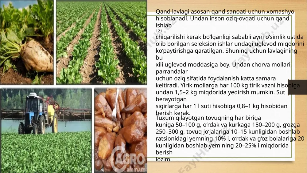 shga imkon beradi. image5.png image6.png image7.jpeg image8.jpeg image3.png image4.png /docprops/thumbnail.jpeg