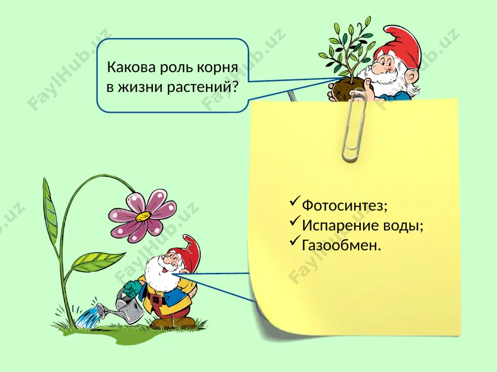 vneshnee stroenie lista - Page 3