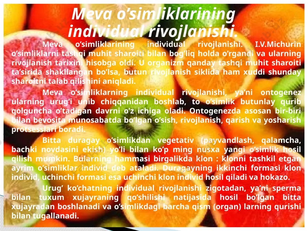 a, tabiiy sharoitiga va parvarish qilish usullariga bog’liq bo’ladi. o’simliklar hayotining uchinchi davri oxiriga kelib o’sishdan to’xtaydi, shohlarning uchki qismlari quriy boshlaydi, so’ngra rivojlanishining oxirgi - qarish, ya’ni qurish davriga kiradi. o’zgarishlarga moyilligi yo’qolgan o’simliklarning tashqi muhitga moslanish, regeneratsiya (tiklanish) xususiyatlari susayadi. tanasida oqsil tiklanish qiyinlashadi, moddalar almashinuvi susayadi. bularning hammasi xujayralar nobud bo’lishiga va o’simliklarning qurishiga sabab bo’ladi. nihoyat, yangidan hosil bo’layotgan xujayralar nobud bo’layotgan xujayralarning o’rnini to’ldira olmay qoladi. natijada o’simlikning ayrim qismlari, to’qima va xujayralari orasida moddalar almashinuvi buziladi hamda fiziologik xususiyatlari - o’sishi, kurtak chiqarishi, gullashi, mevalar pishishi sekinlashadi va pirovardida daraxt qurib qoladi. www.arxiv.uz meva daraxtlarining o’sish davrlari. meva daraxtlari o’sishi va rivojlanishi protsessida yoshga oid ketma-ket bir nechta o’zgarishlar bo’lib o’tadi. p.g.shitt, i.v.michurinning meva o’simliklarining individual rivojlanishi har xil yoshda turlicha bo’lishi haqidagi qoidasini rivojlantira borib, daraxtning hayot siklini (urug’ ko’chatda, payvandlangan va o’z ildizidan o’sgan daraxtda) uch asosiy davrga: o’sish, hosil berish va …