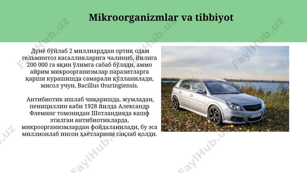 bakteriya va zamburugʻ shtammlarini oʻz ichiga olib, biotexnologiya sohasidagi tadqiqotlar uchun muhim ahamiyatga ega. e'tiboringiz uchun rahmat @taqdimot_robot image1.jpg image2.jpg image3.jpg image4.jpg image5.jpg image6.jpg image7.jpg image8.jpg