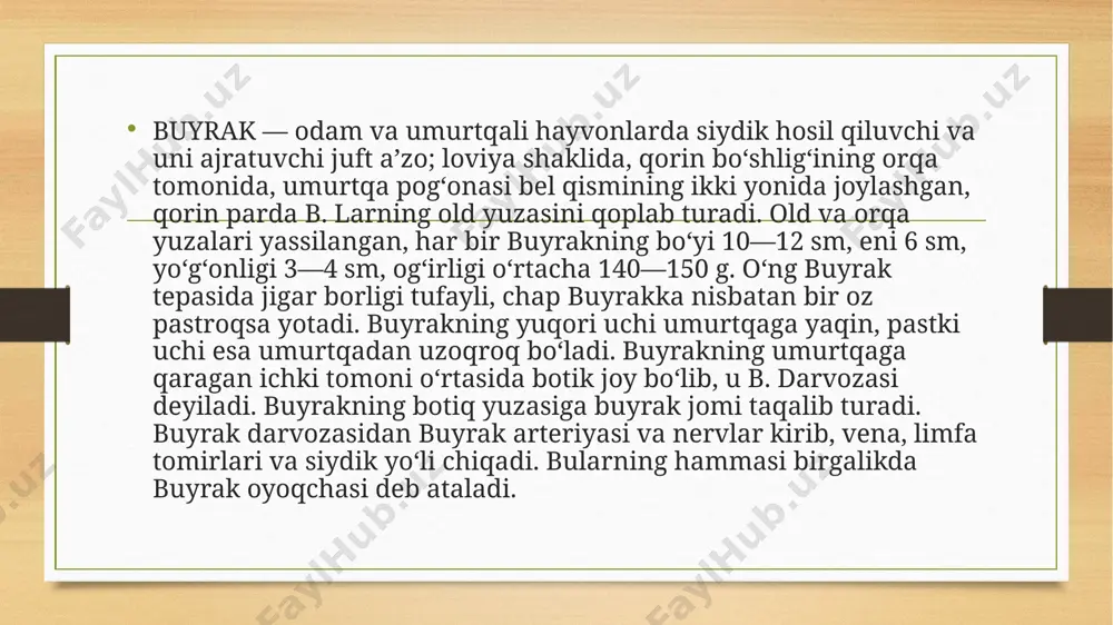 piyelonefrit - Page 4
