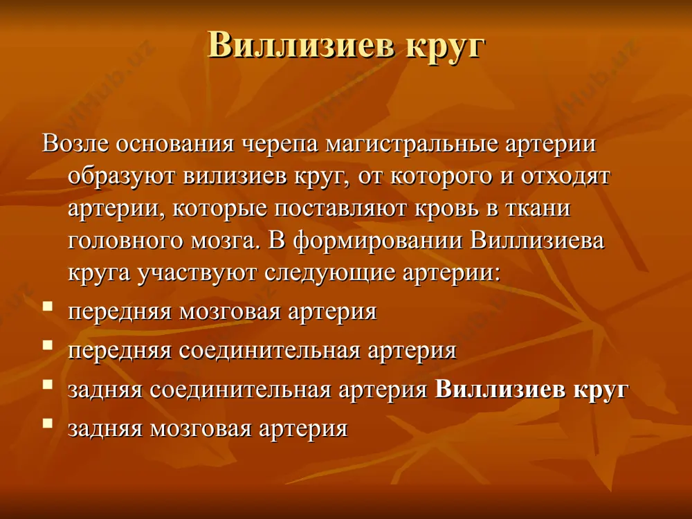 ество, затылочно-теменной области, задние и медиально-базальные отделы височной области. центральные ветви обеспечивают кровью значительную часть зрительного бугра, задний отдел гипоталамической области, утолщение мозолистого тела, зрительный венец и подбугорное ядро; от артерии отходят также веточки к среднему мозгу на рисунке под №8:зядняя мозговая артерия нарушения задней мозговой артерии двусторонние инфаркты в области затылочной коры могут сопровождаться «трубчатым» зрением, обусловленным двусторонней гемианопсией с сохранностью макулярного зрения. если поля зрения и острота зрения при мозговых инфарктах в бассейне задних мозговых артерий грубо не нарушаются, то могут выявляться те или другие нарушения высших зрительных функций. так, при двусторонних инфарктах в области стыка теменной и затылочной областей иногда возникает синдром агнозии на лице (прозопагнозии), когда больной теряет способность узнавать лица родных, знакомых при сохранении способности распознавания окружающих предметов. основная артерия(базилярная артерия) она располагается в базилярной борозде моста. основная артерия отдает ветви к мосту и мозжечку, продолжается двумя задними мозговыми артериями. ветви базилярной артерии кровоснабжают затылочные …