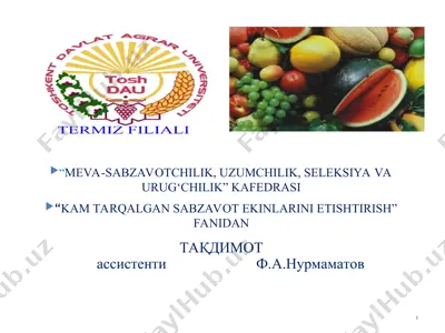 "kam tarqalgan sabzavot ekinlarini etishtirish" — PPT