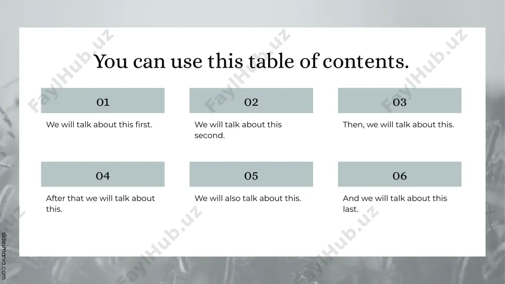 presentation template "introduction to animals" - Page 3