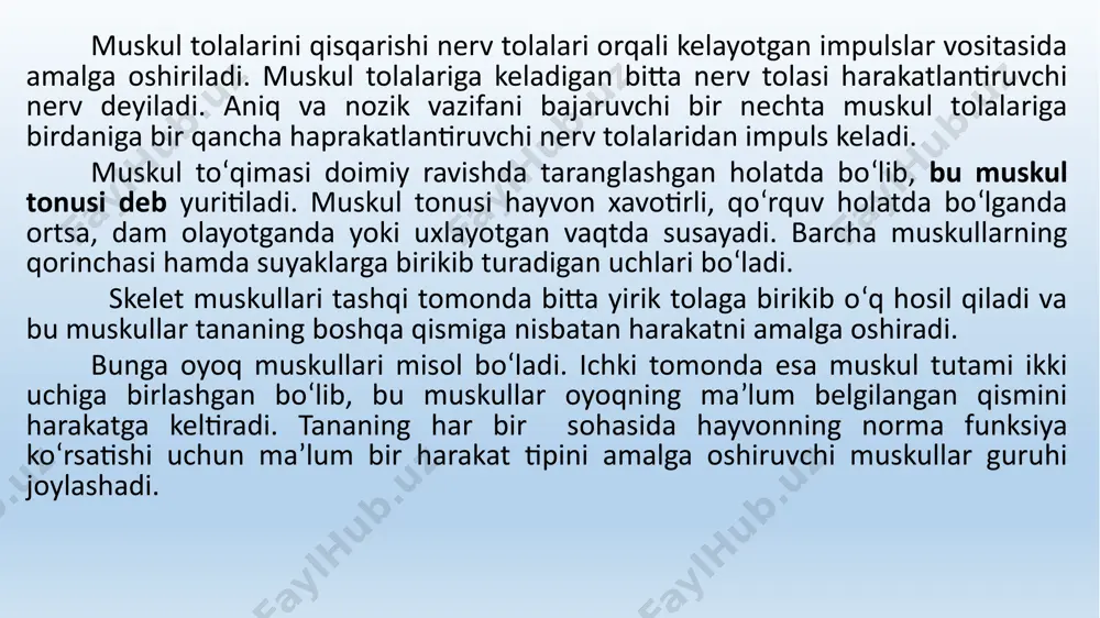 a qaramay, ikki nuqta o‘rtasida joylashadi. har qaysi muskulning boshi, tanasi yoki qorni va dumi bo‘ladi. muskulning boshlanish qismi – boshi va tamom bo‘lish qismi – dumi paylar yordamida suyakka birikadi. bu paylar cho‘ziluvchan biriktiruvchi to‘qimalardan iborat. muskul paylari tez charchamaydigan to‘qima bo‘lib, muskullar harakatida u juda katta ahamiyatga ega, bo‘g‘imlar harakati vaqtida esa amortizatorlik vazifasini bajaradi. ba’zi muskullar pay pardasi bilan suyakning keng yuzasiga birlashadi. muskullar aktiv harakatlanuvchi organ bo‘lib, ularda qon tomirlari juda zich joylashgan. masalan, 10 g. muskul tinch holatda 1 sekund mobaynida 1,2 mm3 qon o‘tkazadi, ishlangan vaqtda uning hajmi 4 – 5 marta ortadi. yurakning 1 mm3 muskul tolasida 5200 – 5700 tagacha kapillyar bo‘ladi. shuning uchun ham bu erda moddalar almashinuvi jadal boradi. bitta muskulning o‘zi bir nechta qon tomiridan qon oladi. muskullarning shakli muskullarning joylashishiga va funksiyasiga qarab shakli har xil bo‘ladi. plastinkasimon muskullar tananing ko‘p qismida joylashib, keng parda bilan tamom bo‘ladi. …