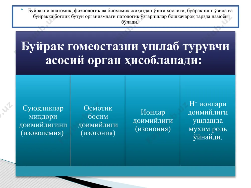 ади. 1) кўп суюқлик ичилганда, 2) шишлар сўрилганда 3) буйракка олиб келувчи артериялар тонусини камайиши ҳисобига, қон миқдорини ортишига (иситмани кўтарилиш даврида, na+ га бой овқатлар истеъмол қилингада) 4) нерв-рефлектор ва гуморал омиллар таъсирида олиб келувчи артериолалар тонусини ортиши 5) гипертоник касаликни бошланиш босқичида посттрансфузион асоратларда, адреналин кўп ишлаб чиқарилганда кузатилади. коптокча мембранаси ўтказувчанлигини ортириши нормада коптокчаларда фильтрация қилинган барча моддалар айтарли реабсорбцияланади. фильтрация ортишини белгилаб берувчи ҳолатлардан протеинуриядир. протеинурияда 1) коптокча мембранаси ўтказувчанлиги ортиши, 2) тешиклар размерини катталашуви, 3) базал мембранани физик-химик ўзгаришларидан келиб чиқади. протеинурия ҳайвонларга адреналин, норадреналин юборганда юзага чиқади. ёш болалар турганда (ортостатик протеинурия), оғир иш бажарганда (маршевая пртоеинурия), кўп сув йўқотганда (дегидратацион протеионурия), кўп оқсил истеъмол қилганда (алиментар протеинурия), бу ҳаммаси функционал ҳарактердаги протеинурия бўлиб (до 1 г/л гача), улар тез қайтади. лекин, органик ҳарактердаги протеинуриялар ўткир ва сурункали гломерулонефрит, нефротик синдромлар ва бошқа буйрак касалликларида учрайди. бу ҳолатларда протеинурия турғун узоқ давом этади. м: …