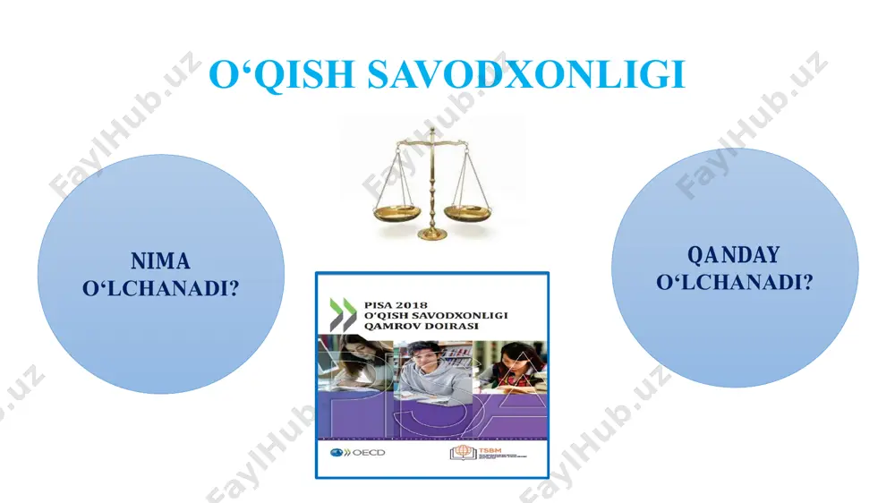 pisa tadqiqotining baholash mezonlari - Page 5
