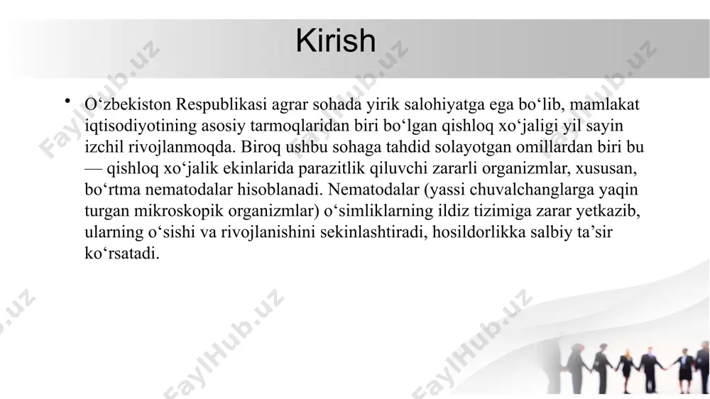 nematodaning tashqi va ichki tuzilishi kopayishi tarqalishi 3.o’zbekistonda tarqalgan bortma nematoda turlari 1.bortma nematoda turlar (meloidogyne spp) bo‘rtma nematodalar (meloidogyne spp.) haqida umumiy ma’lumot boʻrtma nematodalar (meloidogyne) — oʻsimliklarda parazitlik qiluvchi nematodalar oilasi. erkagi ipsimon, uz. 1,2—1,9 mm, urgʻochisi noksimon, uz. 0,8–1 mm. turli oʻsimliklarning yer ostki qismida parazitlik qilib, shish (boʻrtma) paydo qiladi. poliz (qovun, qovoq, tarvuz), sabzavot (kartoshka, bodring, pomidor, sabzi), texnika ekinlari (kanop, ayrim joylarda gʻoʻza)ni ayniqsa kuchli zararlaydi. urgʻochi nematodalar maxsus tuxum xaltasi (ooteka)ga yil davomida bir necha yuztadan 2000 gacha tuxum qoʻyadi. tuxumdan lichinkalar tuproqqa chiqib, yosh ildizlarga kirib oladi. boʻrtma nematodalar taʼsirida oʻsimlikning nematodalar bilan zararlangan joyida diametri 4 mm dan bir necha sm (baʼzan 25—30 sm) gacha boʻlgan zararlangan oʻsimliklarning oʻsishi va rivojlanishi sekinlashadi, issiq yoz paytlari soʻlinqirab turadi yoki butunlay qurib qoladi ko’payishi partonagenez. 2.bortma nematodaning tashqi va ichki tuzilishi kopayishi tarqalishi bortma nematodalar – o‘simlik ildizlarida yashovchi va tugun (galla) hosil …