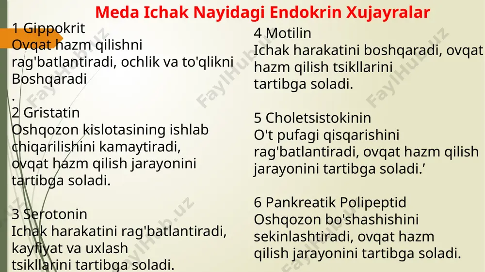 meda ichak nayining endokrin hujayralari - Page 4