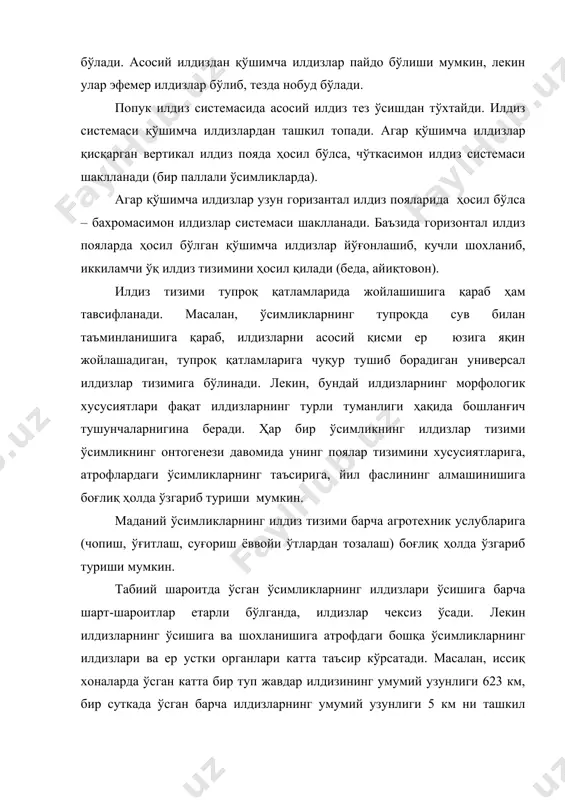 ининг охирида ер устки қисми билан биргаликда ўлади. пиёзли ва тўғаноқли ўсимликларнинг вегетациясининг охирида барча илдизлар қурийди, кейинги йили вегетацияси бошланганда қайтадан янги илдизлар пайдо бўлади. вақти-вақти билан сийрак ёмғир ёғадиган қурғоқчил минтақаларида, ёмғир тупроқнинг фақат устки қисминигина намлайди, шу вақтда ўсимликлар ердаги озгина намликдан фойдаланиб олиш учун қўшимча эфемер илдизларни ҳосил қилади, тупроқ қуриши билан бу илдизлар ҳам ўлади. кўпчилик ўтсимон ўсимликлар ва дарахтларнинг илдизлари ўсишдан тўхтаганда илдизнинг учки қисми ва қини пўкаклашиб ҳимоя ғилоф ҳосил қилади яъни - метокутинизациялашади. баҳорда ғилоф ёрилиб, ўсувчи илдиз апекси ҳужайралари бўлина бошлайди. илдизларда бирламчи тўқималарининг келиб чиқиши ва ўсиши. илдизларнинг ўсиши ноқулай шароит (паст ҳарорат, сувсизлик) бўлмаса тўхтамайдиган жараёндир. илдизлар тупроқларда учраган қаршиликларни енгган ҳолда, аввалги йилги ўлган ва чириган илдизларнинг ўрнини тўлдириб, тупроқ горизонти бўйлаб тарқалади. илдизларнинг пояларидан фарқи шуки, апекал меристема фақат ичкаригагина эмас, балки ташқарига илдиз қинини тўлдирган ҳолда ҳужайралар ҳосил қилади. илдизларни апексидаги инициал ҳужайраларнинг сони ва жойлашиши, …