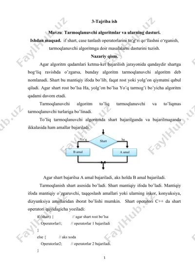 tarmoqlanovchi algoritmlar va ularning dasturi — DOCX